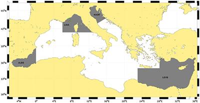 Reproduction of Spatio-Temporal Patterns of Major Mediterranean Phytoplankton Groups from Remote Sensing OC-CCI Data